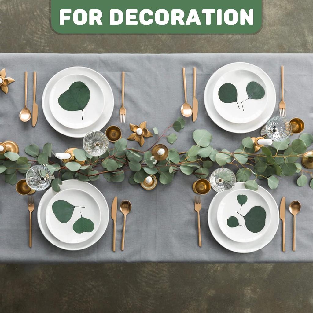 300PCS+ Real Eucalyptus Leaves for Shower - Sukh Dried Eucalyptus Leaves for Shower Fresh Shower Plant Eucalipto Para Decoracion Preserved Flower