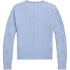 Polo Ralph Lauren Sweater Crew Neck Single Button Pony Embroidery Long Sleeve Kids Kids Sweater CWPOSWEG6820559-999