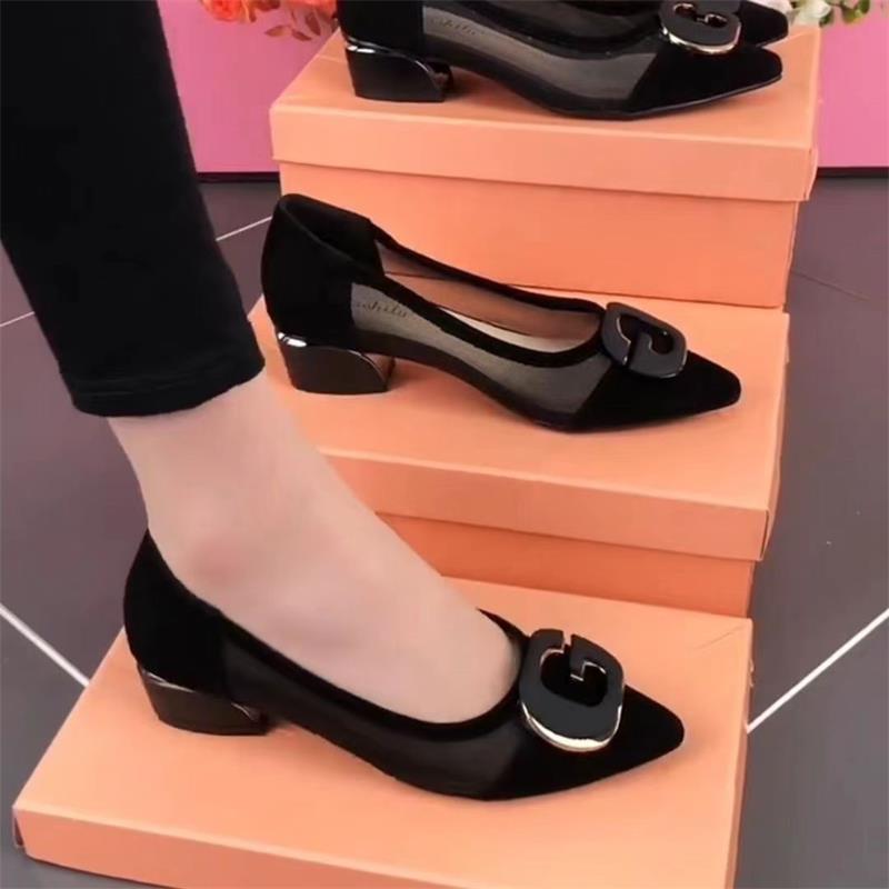 Mesh Sandals Women's 2025 New Spring and Summer Shallow Mouth Pointed Head Low Heel Thick Heel Single Shoes Hollow Breathable Large Size Women's Shoes