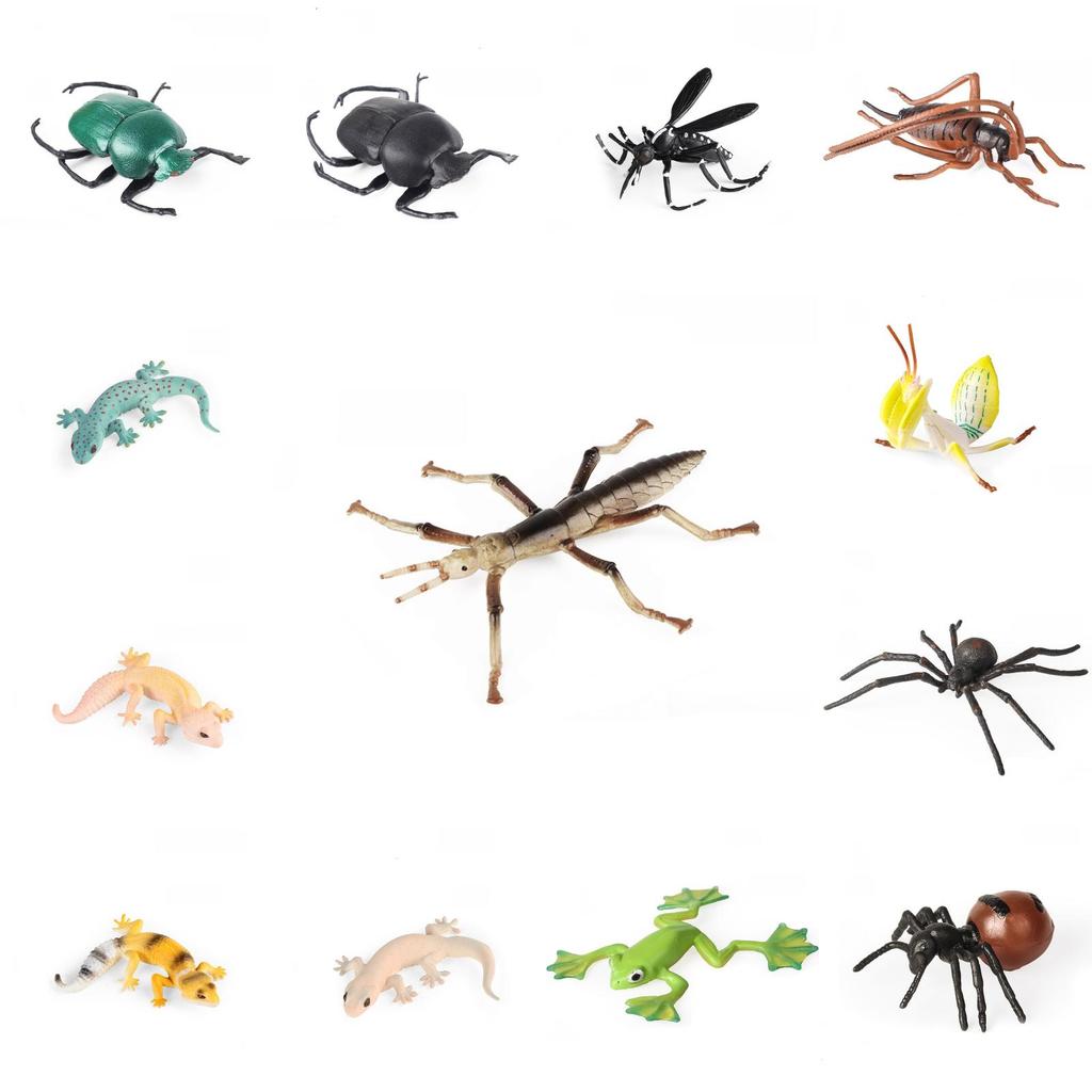 Realistic Insect Model Set For Kids Educational And Collectible Toy Collection