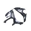 BMW S1000R M1000R Thunder Edition Carbon Fiber Side Panel Liners