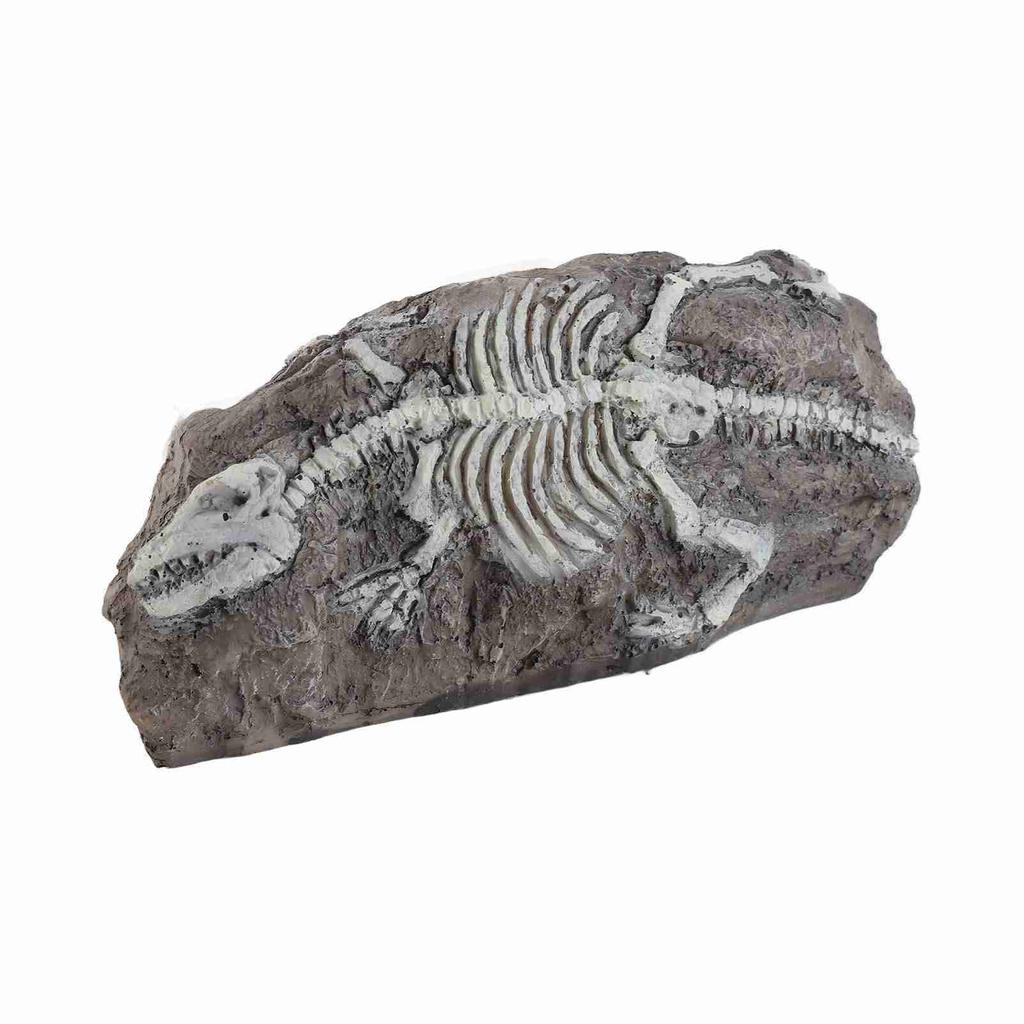 Aquarium Dinosaur Reliquiae Decoration Reptile Resin Dinosaur Reliquiae Rock Hideout for Fish Tank