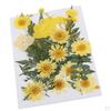 25 Dried Flowers Leaves for Nails Handmade Resin Jewelry Making Materials