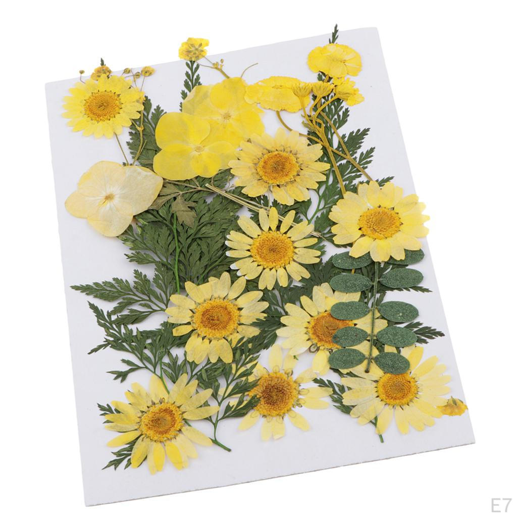 25 Dried Flowers Leaves for Nails Handmade Resin Jewelry Making Materials