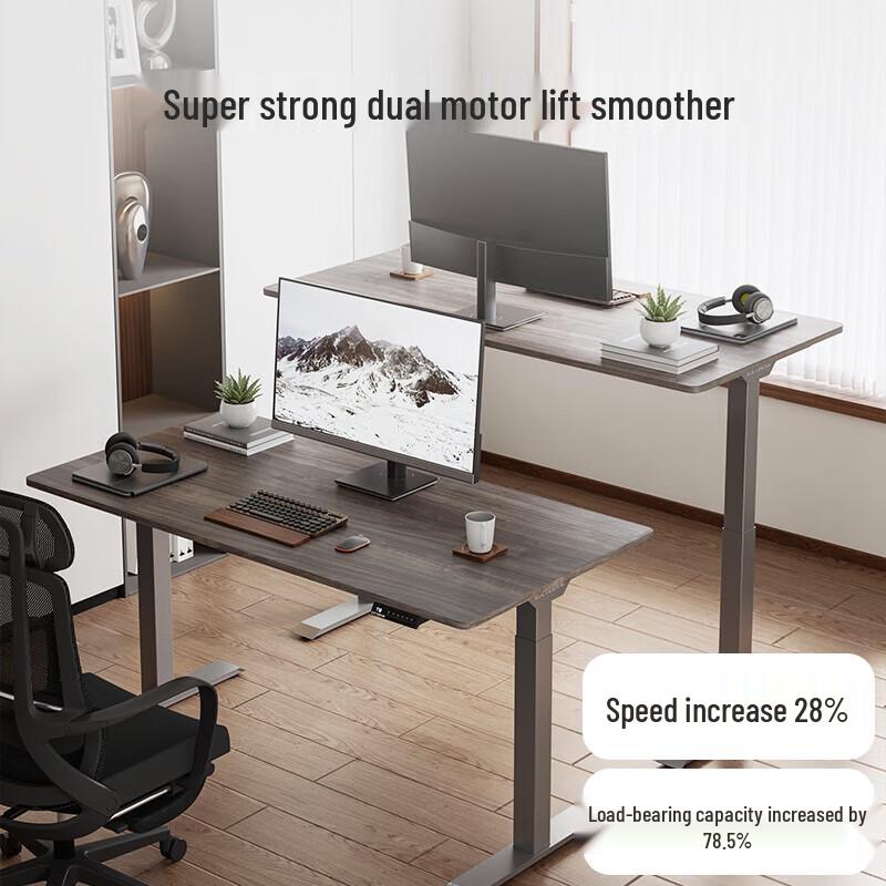 Loctek E3 Electric Smart Standing Desk