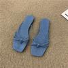 French flat-bottomed flip-flops fairy shoes wear 2025 new summer beach sandals silver sandals