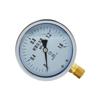 Huati Shock-Resistant Pressure Gauge (CN Version)