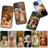 Phone Cover Golden Retriever Dog Pet Casing for Xiaomi Redmi Note 15 11 9 10 Pro Plus A5 9A 9T 10A 10C 9C NFC 15C 8T Case
