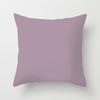 Modern Simple Solid Color Double-Sided Printed Pillow Cover Pillow Core Home Sofa Cushion Pillow Cover Premium