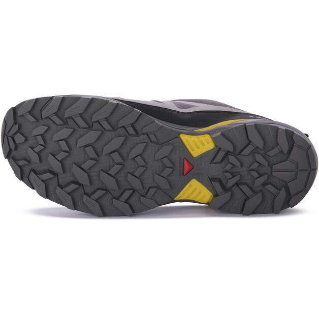 Треккинговые ботинки Salomon X Ultra 360 GTX