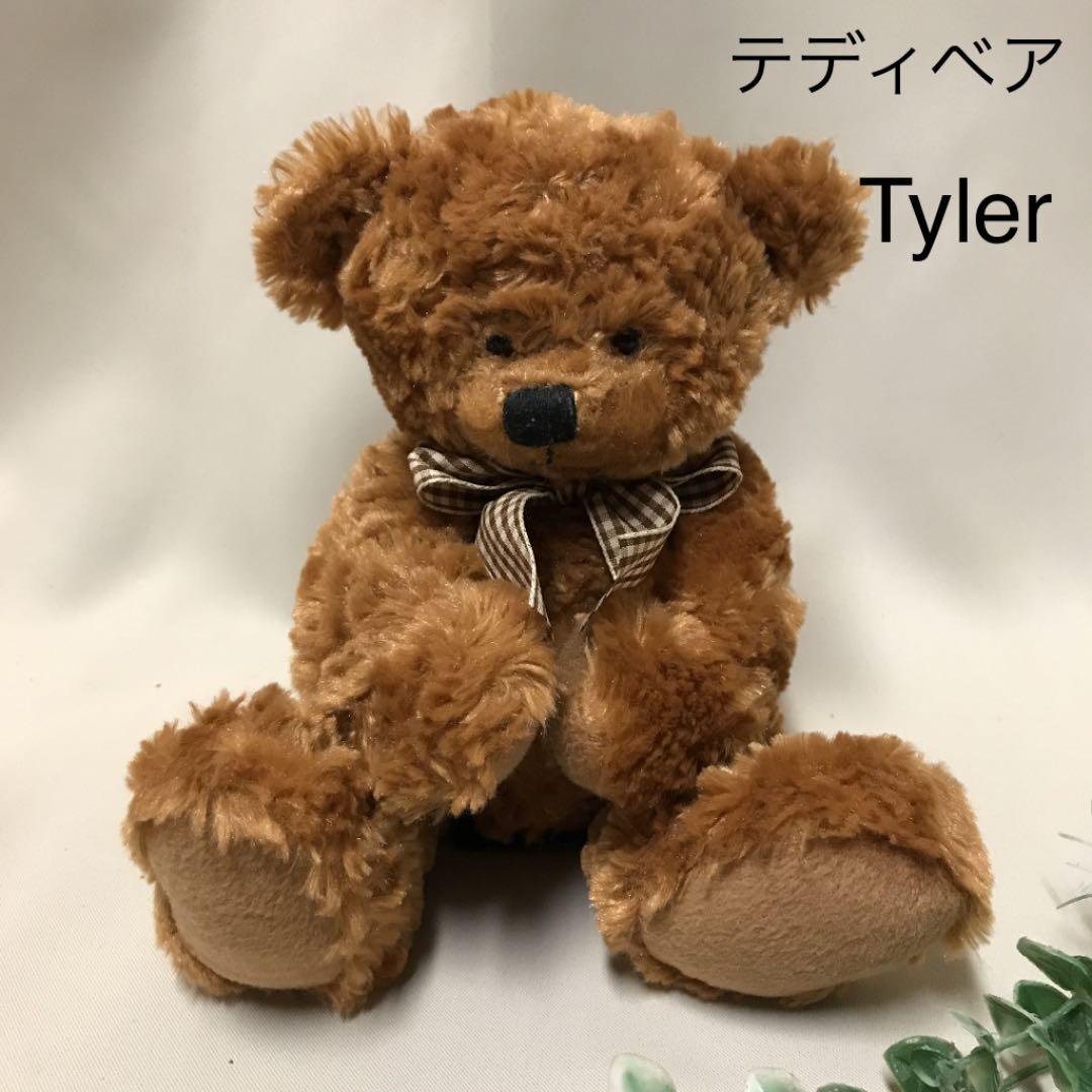 

[USED] Tyler stuffed toy, Tyler teddy bear
