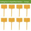 55PCS T-shaped Plastic Plant Label Waterproof Reusable Flower Vegetable Herbal Potted Classification Tag Garden Nursery Sign