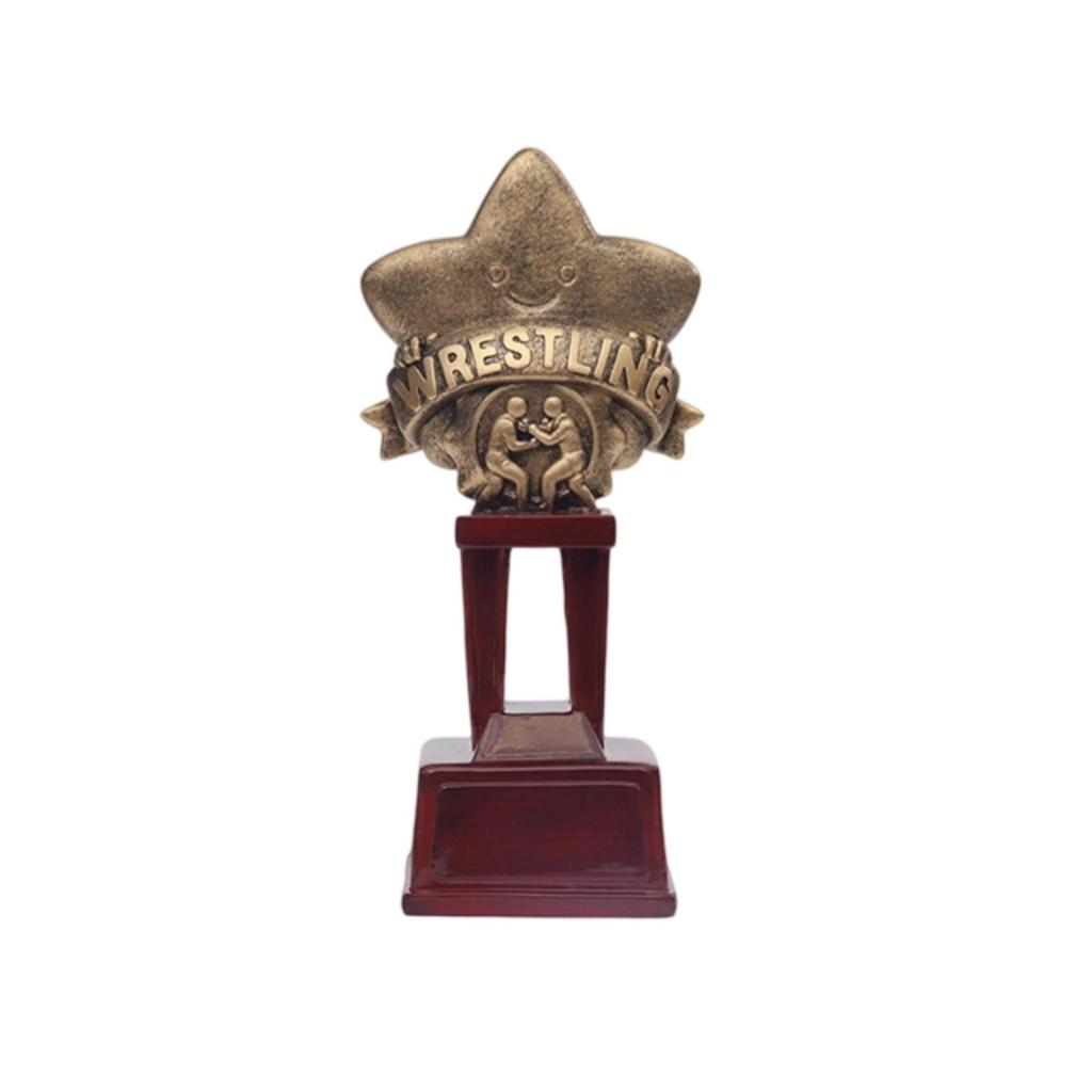 Star Trophy Decorative Award Professional Ornament for Students, Athletes, School Awards,