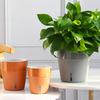 Plant Pot Eye-catching Heat Resistant Plastic Automatic Water Absorption Plant Pot with Cotton Ropes for Home