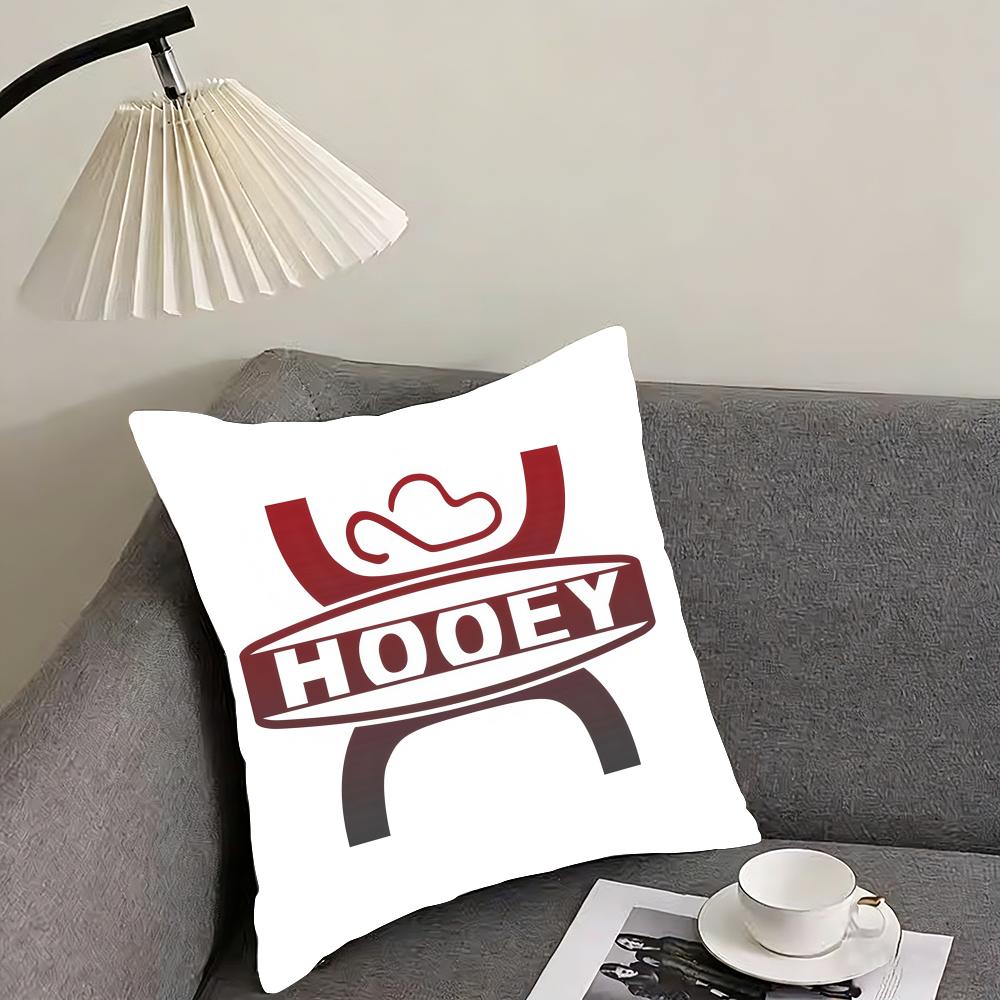 

Minimalist HHooey Brands Cushion Cover Pillowcase Ultra Soft Skin Friendly Fabric Cloud Like Comfort Concealed Zipper 30x30cm