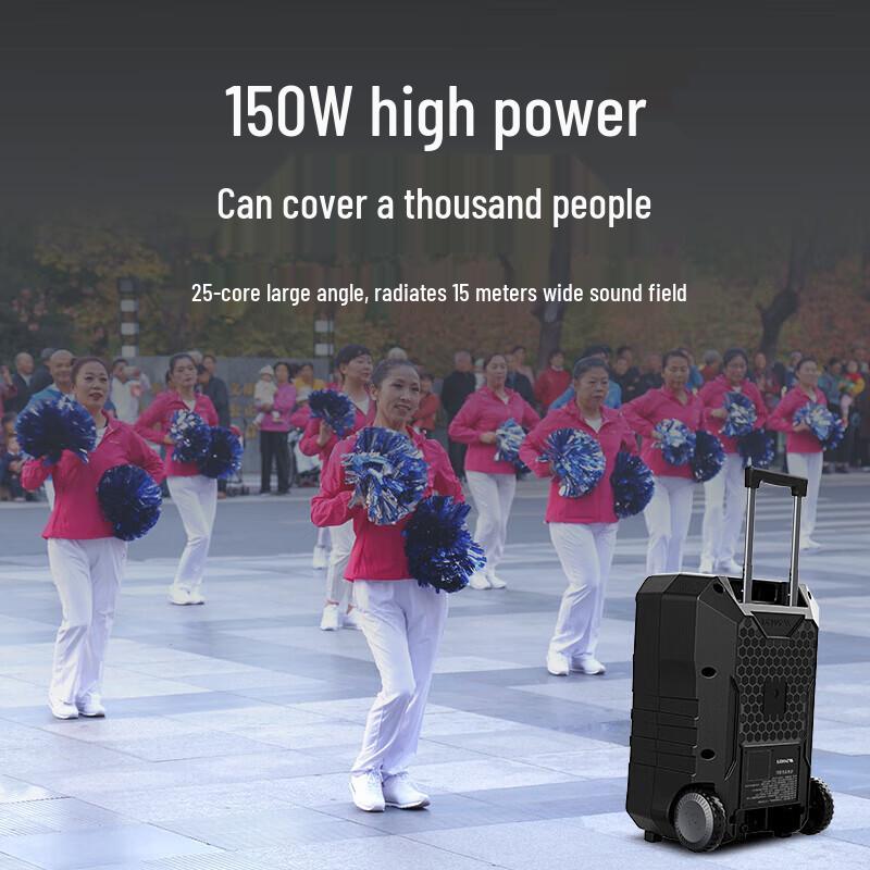 SANSUI D12 12-inch Portable Karaoke Speaker with Dual Microphones CN Plug (adapter Included)