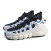 Li Ning Essence 2.3 Discovery Low top Vintage Basketball Shoes Men's Black White AGBP077-5