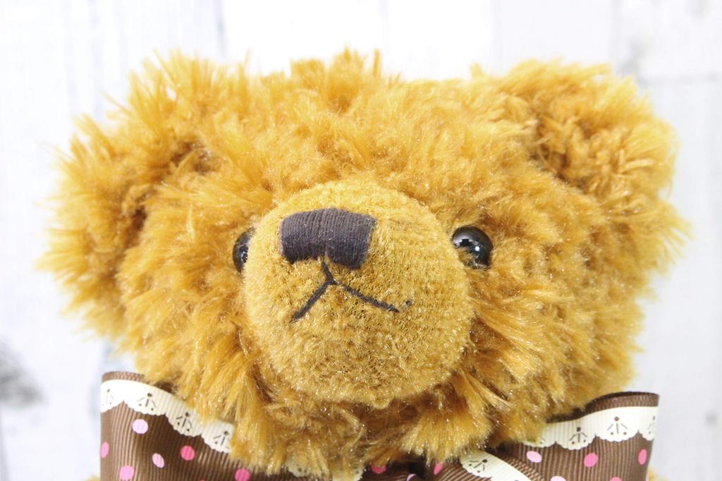 Take Off Plush Toy Music Box Classic Bear Brown