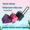 Professional Rolling Beauty & Cosmetic Case