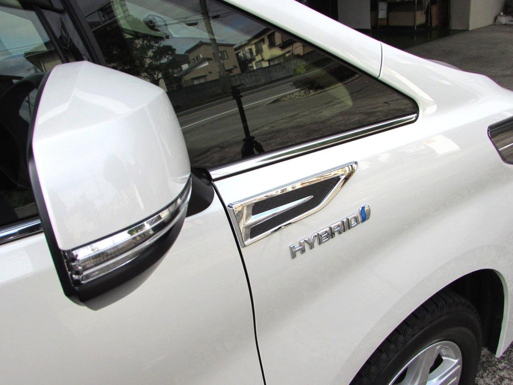 BRIGHTZ Vellfire 30 35 Chrome Fender Garnish Carbon Style AGH30W AGH30W GGH30W GGH35W AGH GGH AGH30 GGH30 GGH35 H30 H35 Vellfire Vellfire Vellfire