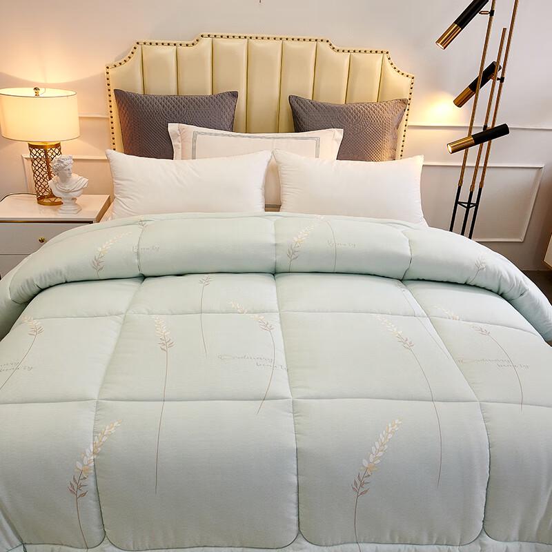 Pugu Elegant Series All-Season Duvet Insert