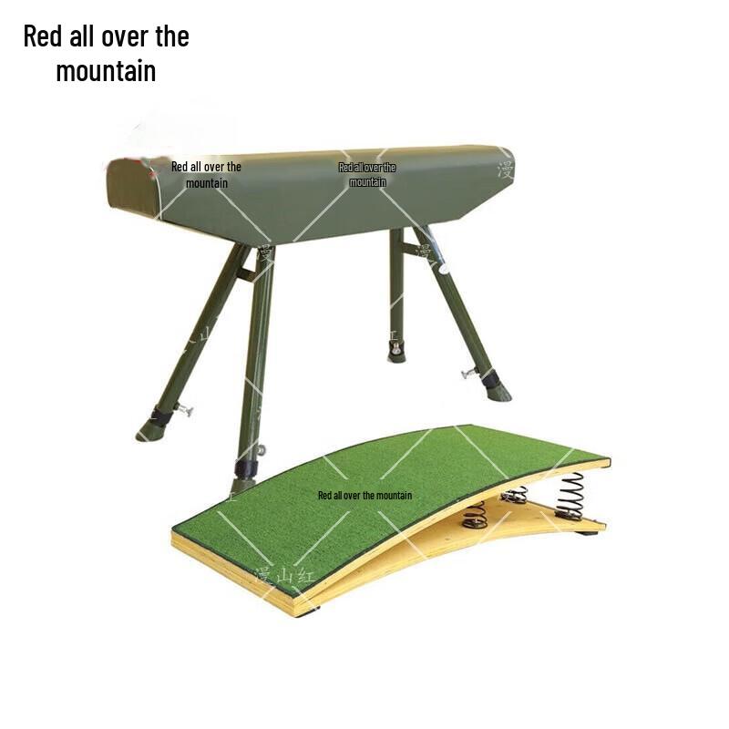 Gymnastics Vaulting Horse & Springboard Set