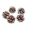 DIY Christmas Tree Decor: Bleached Pine Cones & Dried Flowers with Cedar and American White Pine Cones