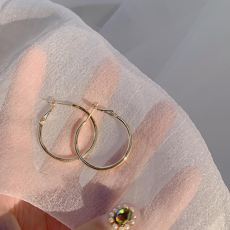 S925 Silver Needle Exaggerated Simple Hoop Earrings: Luxurious, High-End European & American Style for Women