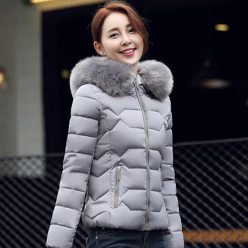 Artificial Raccoon Fur Collar Winter Jacket Women Winter and Autumn Wear High Quality Parkas Outwear Women Coats