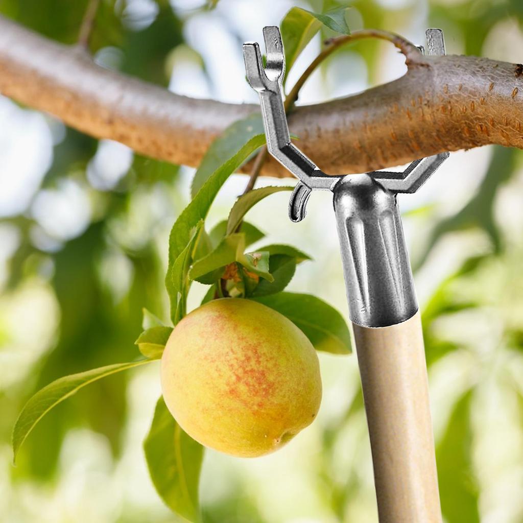 5-teiliges/Set Verstellbare Rostfreie Gliedmaßen Obstpfähle Baumgliedmaßenstütze Abstützende Astspreizer Neigungswerkzeug Outdoor Fruchternte