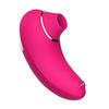 Nipple Clitoral Stimulator Suction Levels Electric Nipple Nipple USB Adult Handheld Clitoral Electric Adult Goods Vibrator, Suction, Vibrator, [9 +