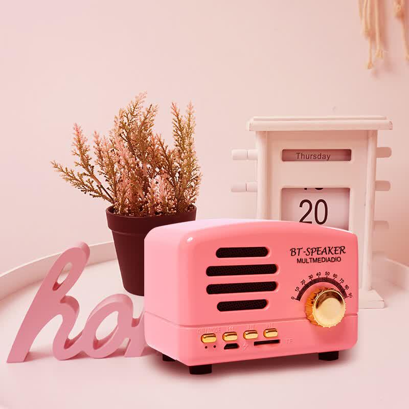 SMEBERT BT01 Karaoke Bluetooth Speaker (CN version)