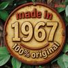 D Flat pc Vintage Camping Decor  Retro Trailer Bicycle  Lantern Design  BeigeTeal GreenBlackWhite Color Scheme  Li