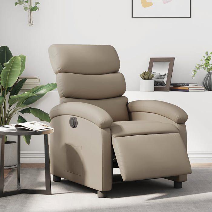 VidaXL Fauteuil Inclinable Électrique, Chaise de Relaxation avec Dossier et Repose-pied Réglables, Siège de Salon, Moderne, 3204032