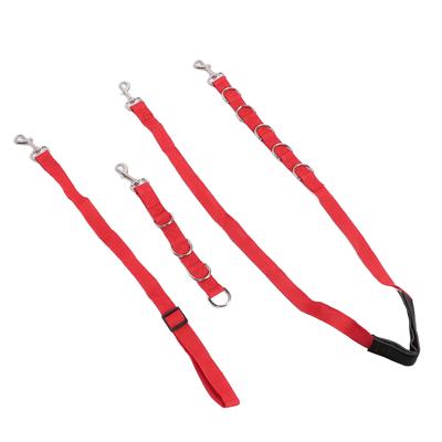 Toelettatura Cani Cinghie per Pancia Nylon Regolabile Cappio per Toelettatura Animali Domestici e Cinghia di Estensione Forniture per