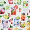 Outdoor Dekostoffe Oxford - Motiv Cocktail | Dx8452
