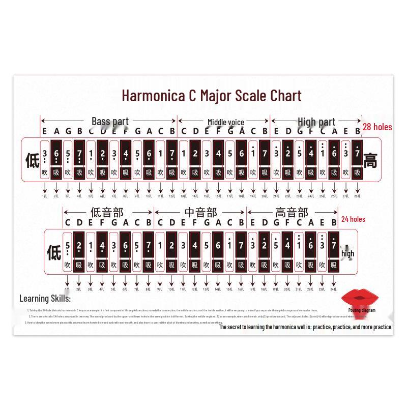 Harmonica Beginner Practice Sticker: C Key Scale Chart for 24/28 Hole Models, Child & Adult Use, Hole Positions & Blowing Symbols