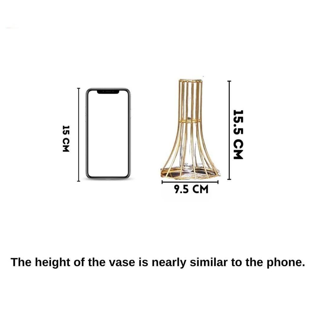 1 Stück Metallvase für Heimdeko, Wohnzimmer, Schlafzimmer, Büro, Tischdekoration | Vermehrungsstation mit Metallrahmen, Reagenzglas-Glasartikel