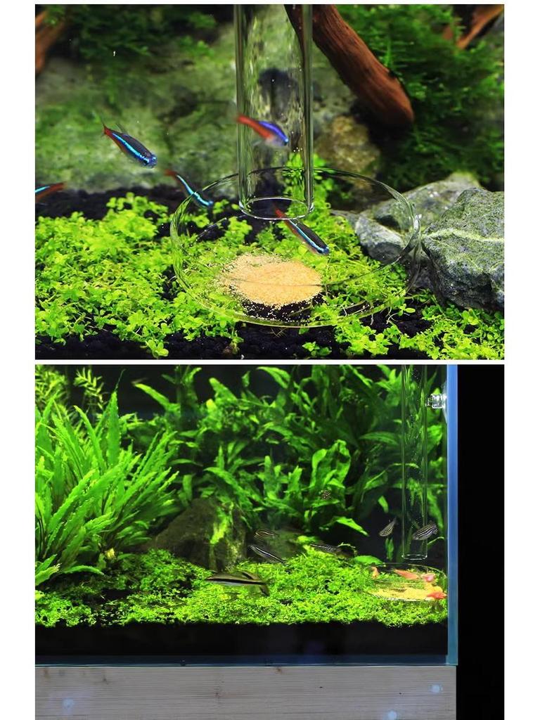 High-Transparency Glass Fish Feeder Tube: Precise Feeding for Shrimp & Small Fish, Prevents Food Scattering.