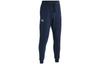 Spodnie dresowe Męskie Kolegialny Niebieski FW22 1366727-408