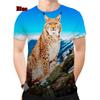 Men Woman Spring/Summer Printed 3D Animal Lynx Harajuku Streetwear Short Sleeve Unisex Hip Hop T-shirt XS-5XL