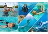 Anti-Fog Dry Snorkel and Dive Mask Set