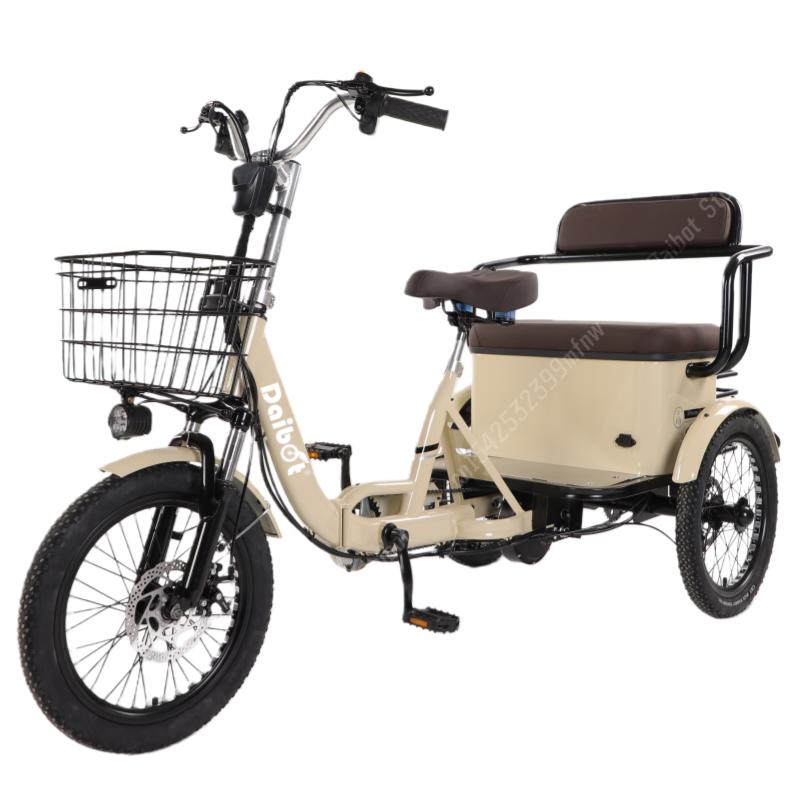 650W 48V 3 Wheels Electric Bicycle