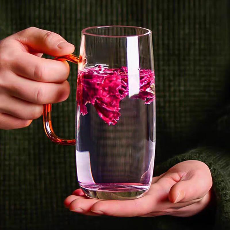 Glass Drinking Mug with Handle
