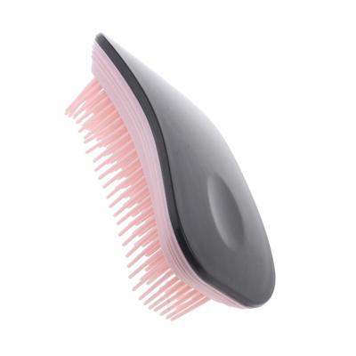 Detangling Massage Hairbrush Anti Static Scalp Comb Mini Travel Hairbrush for Hair Styling Tools