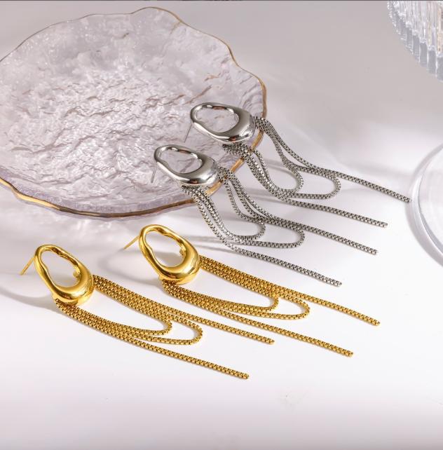 Tassel Chain Stainless Steel Earrings with a Female Niche Design, Earrings and Accessories That Do Not Fade