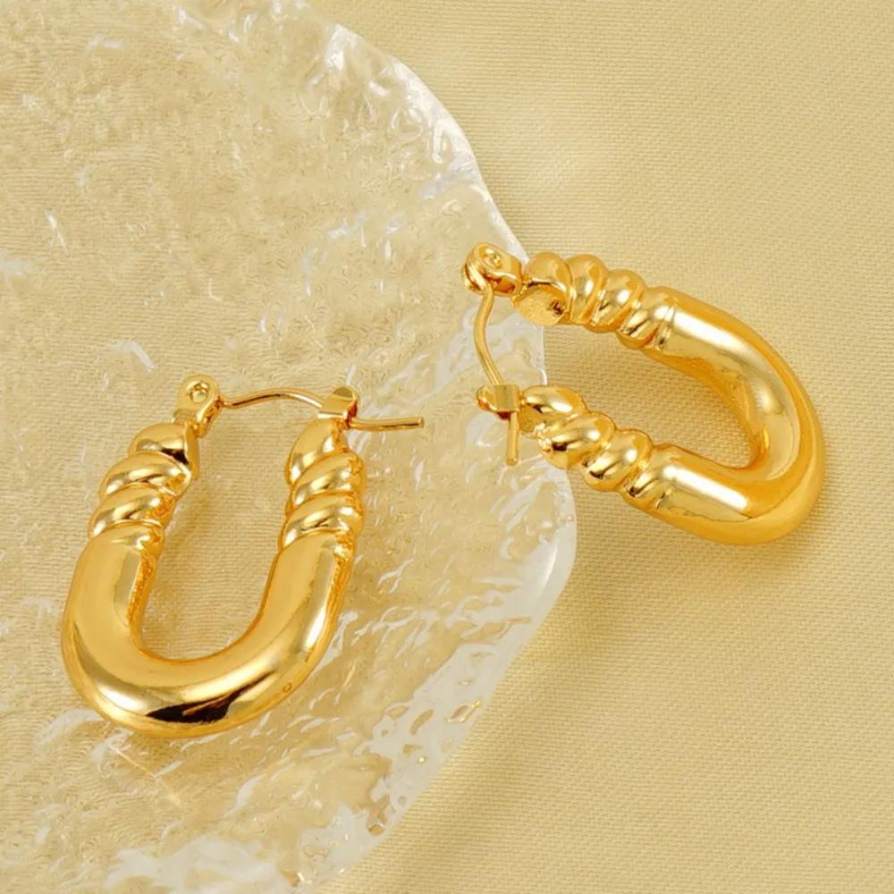 Women's Textured Stainless Steel Hoop Earrings Light Luxury High-End Non-Fading Vacuum Plated Jewelry Accessory