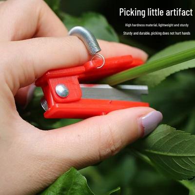 Multifunctional Fruit & Vegetable Pruning Knife for Harvesting Grape Tips, Tendril Removal, Green Beans, and Cucumbers