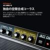 Roland JC-40 Jazz Chorus Guitar Amplifier