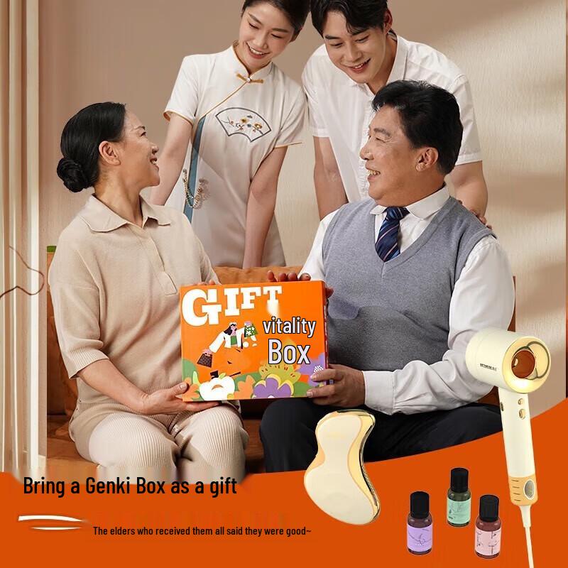 

Hezheng Vitality Gift Box 6: Electric Gua Sha & Hair Dryer Set